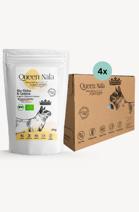 Huhn Pur mit Quinoa 48x100g