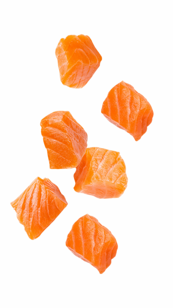 Salmon & Potato 12x100g - Image 2