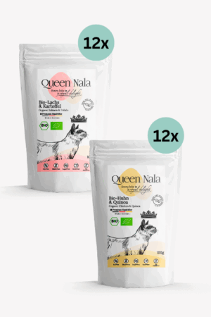 Monthly Duo Supply: Chicken & Salmon 24x100g