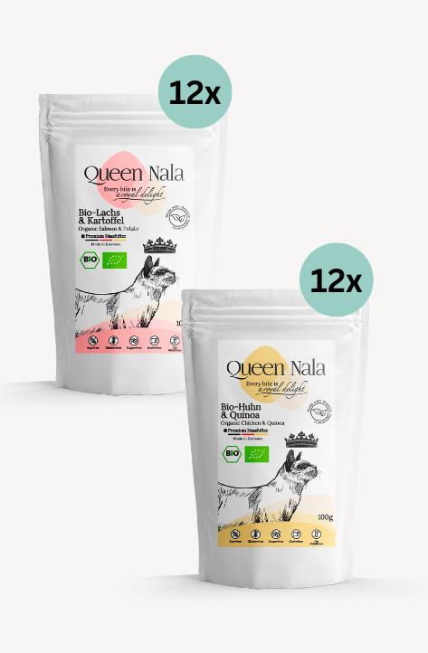 Monthly Duo Supply: Chicken & Salmon 24x100g