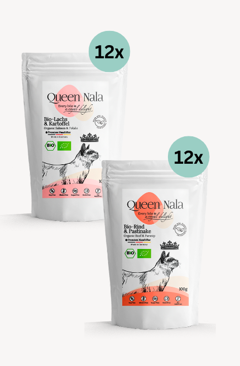 Monthly Duo Supply: Salmon & Beef 24x100g
